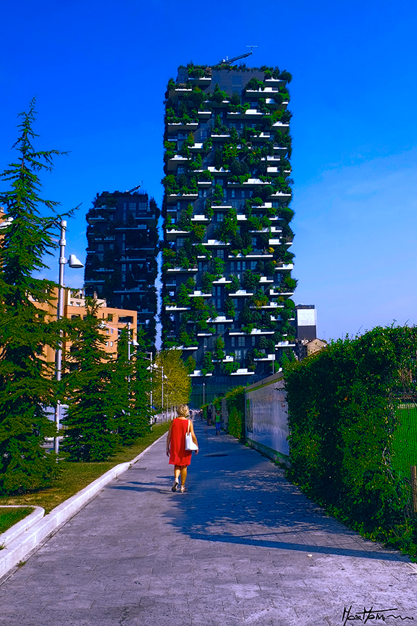 MILANO AGOSTO 2016 199 BOSCO VERTICALE 1AOK