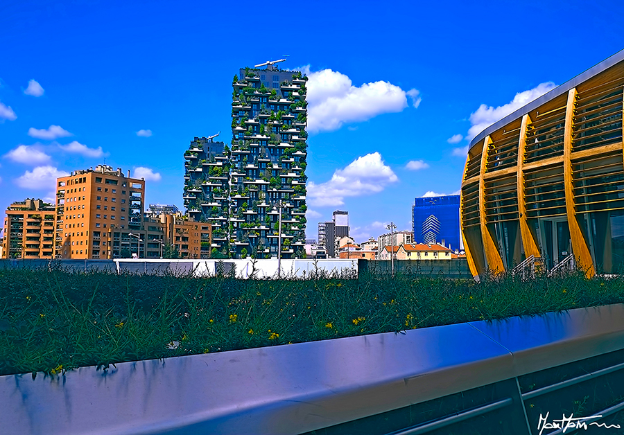 MILANO APRILE 2016 171 BOSCO VERTICALE OK1